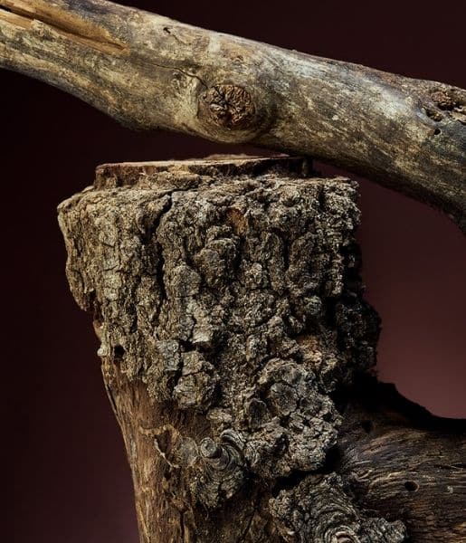 Wood Special Edition-Desktop